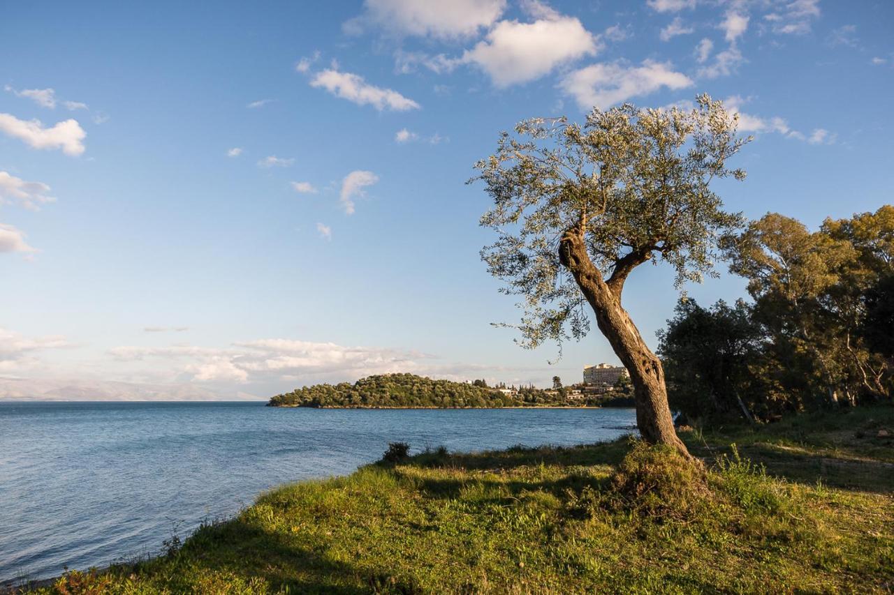 Merlyn Rooms Into The Nature, 100M From The Beach Dafnila Dış mekan fotoğraf