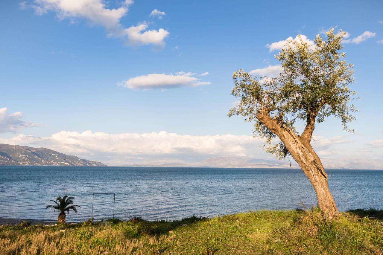 Merlyn Rooms Into The Nature, 100M From The Beach Dafnila Dış mekan fotoğraf